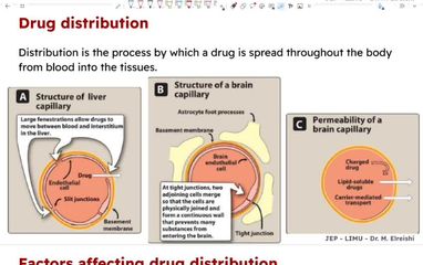 drug distribution