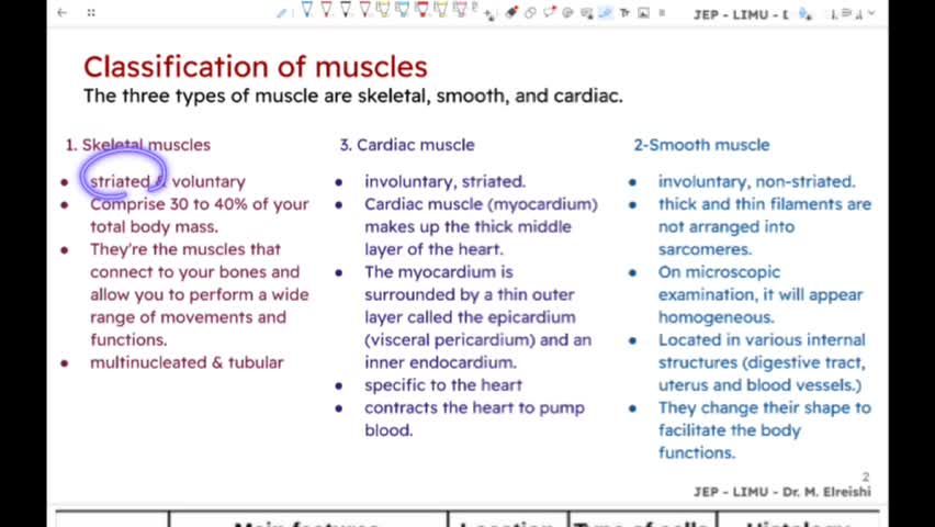 introduction to muscles