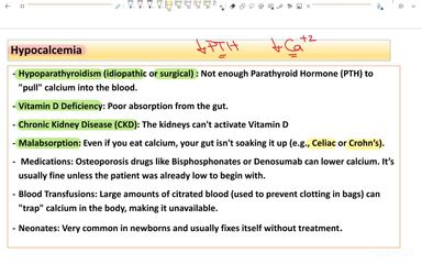 Drugs affecting calcium homeostasis I