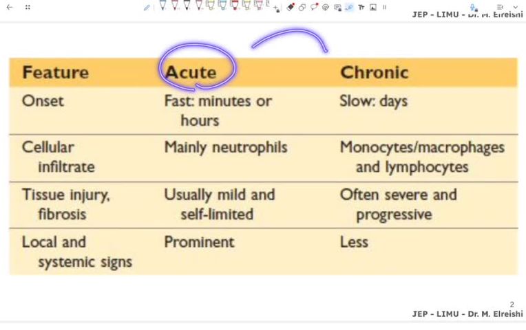 acute inflammation part 1