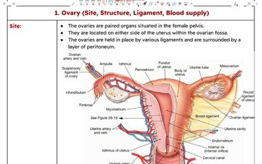 TA objectives part 1