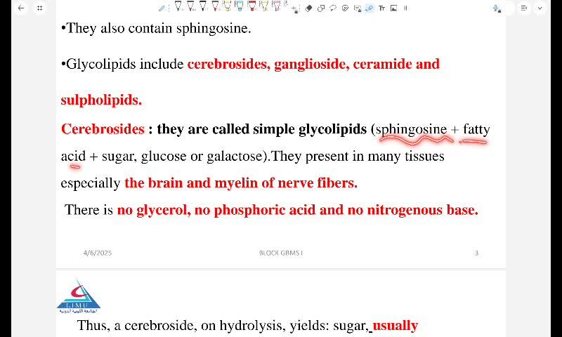 lipid chemistry 2