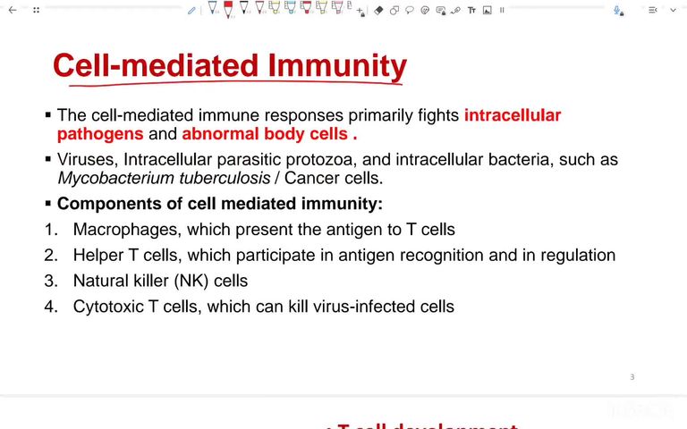 Cellular immune response - Part 1