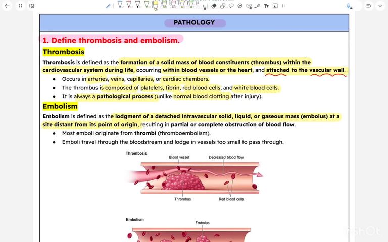 NEW PBL OBJECTIVES - PART 2